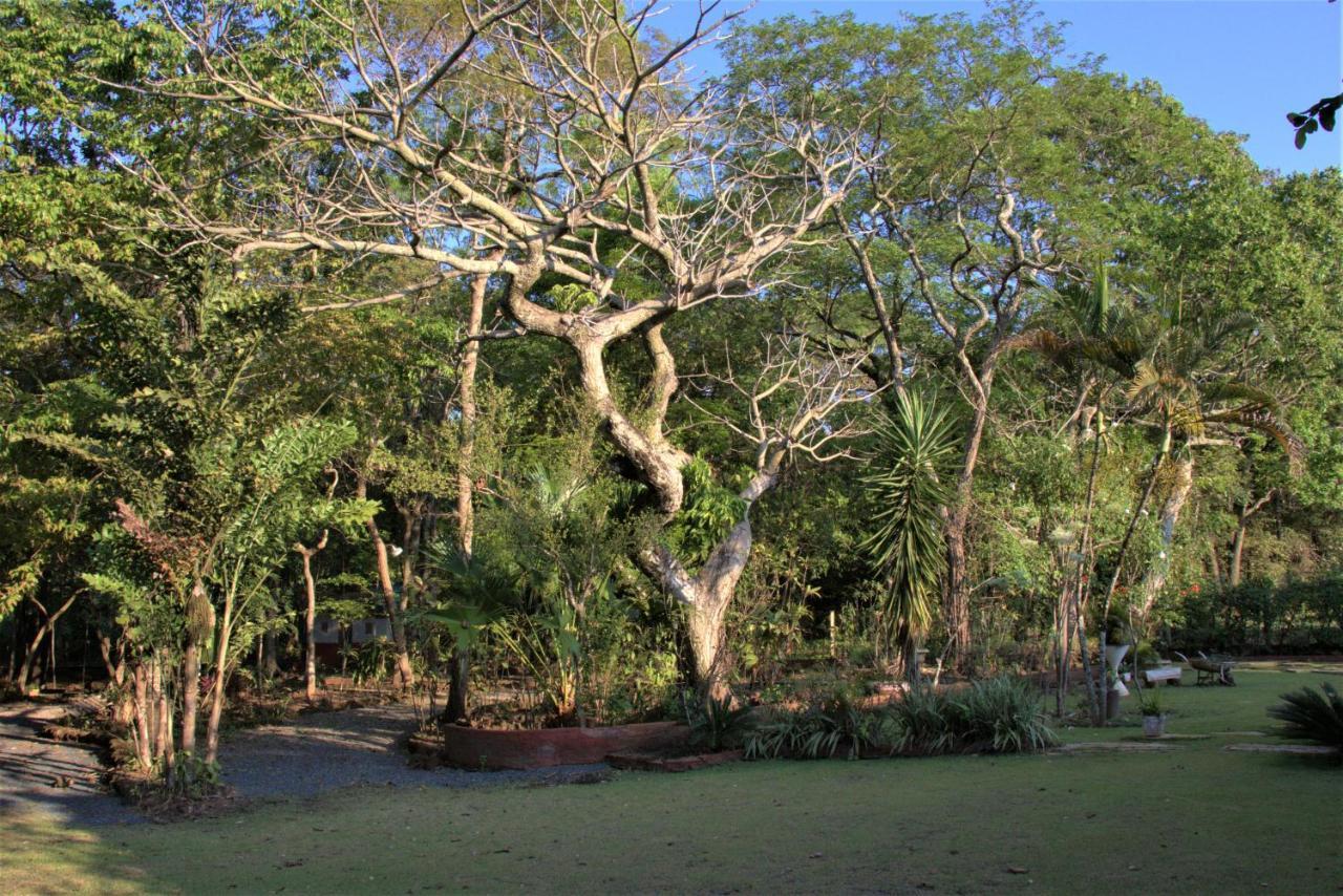 Chapada dos GuimarãesCasa Unica Com Piscina E Lareira A 1,2 Km Do Centro别墅 外观 照片