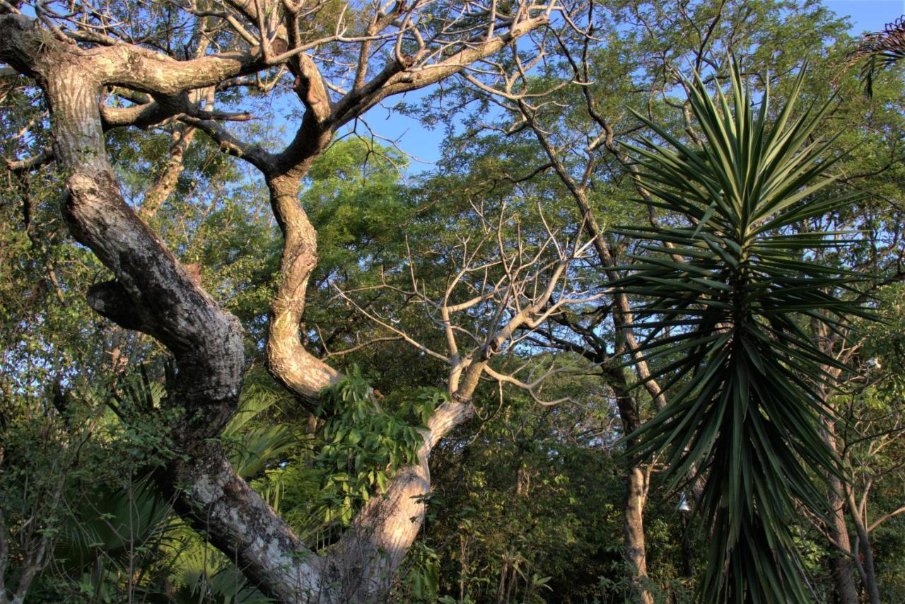 Chapada dos GuimarãesCasa Unica Com Piscina E Lareira A 1,2 Km Do Centro别墅 外观 照片