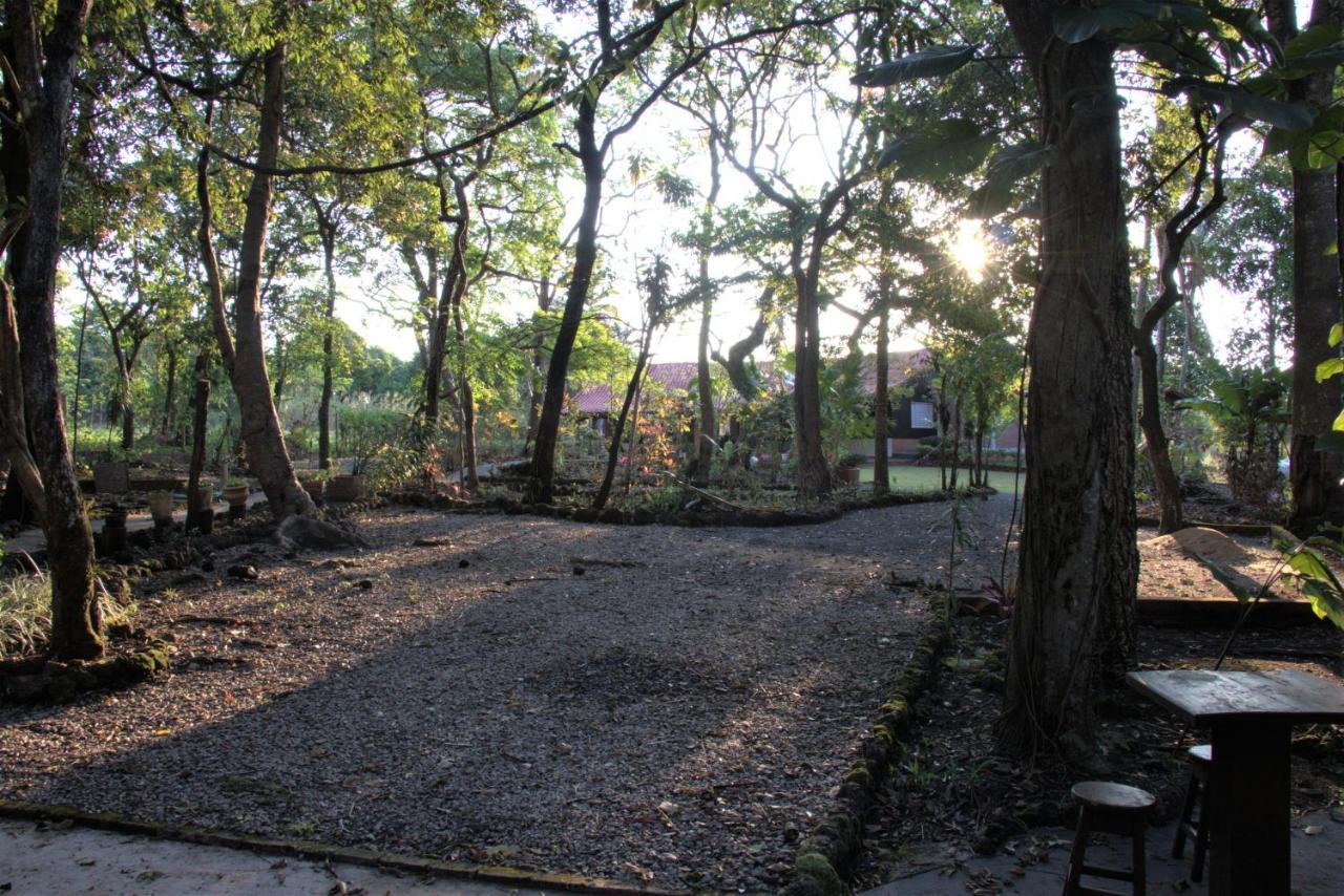 Chapada dos GuimarãesCasa Unica Com Piscina E Lareira A 1,2 Km Do Centro别墅 外观 照片