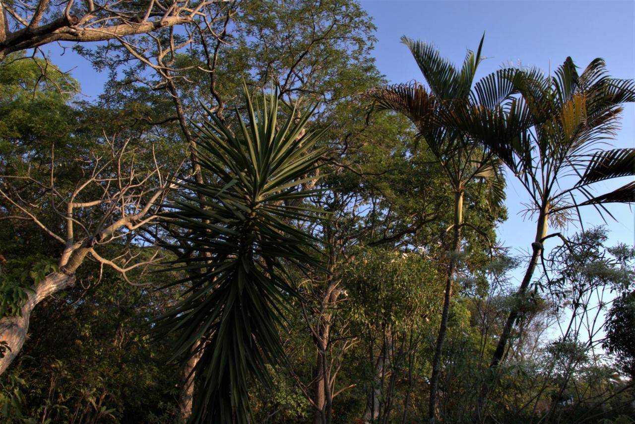 Chapada dos GuimarãesCasa Unica Com Piscina E Lareira A 1,2 Km Do Centro别墅 外观 照片